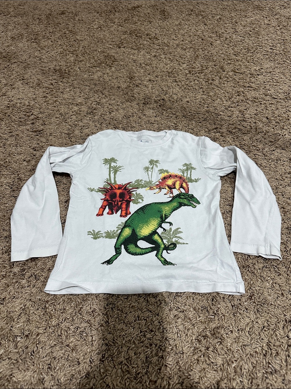 Boys long sleeve top